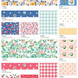 Riley Blake / Summer Picnic / 5in Squares 42pcs / チャームパック 4枚目の画像