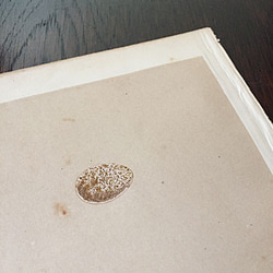 1875年　nest egg print　エッグプリント 紙もの 古紙 カリグラフィ 北欧のくらし 味紙 植物図鑑 3枚目の画像