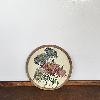 SALE!アンティークボタニカルアート　植物のポスター　English Botany 　アート　額装飾　フレーム