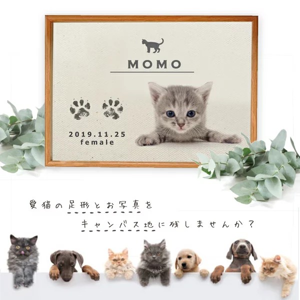 【送料無料】ずっと飾れるねこちゃん用メモリアルキャンバス☆