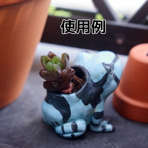カエルの形をした小さな植木鉢 その他置物 粘土の店 通販 カエルの形をした小さな植木鉢 その他置物 粘土の店 通販