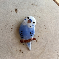 景泰藍胸針C1“虎皮鸚鵡”（什麼糖果） 第2張的照片