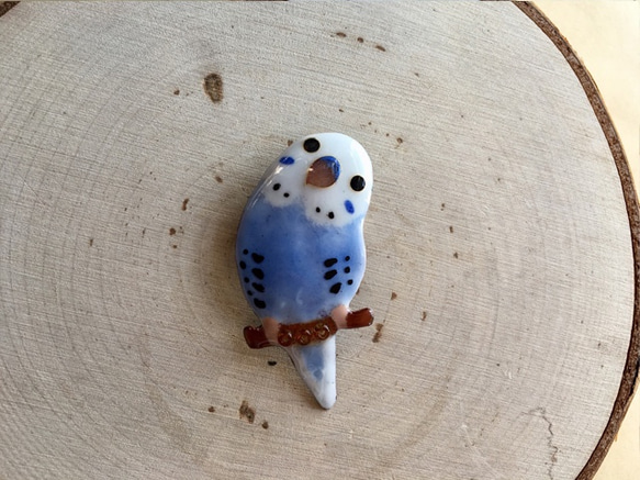 景泰藍胸針C1“虎皮鸚鵡”（什麼糖果） 第2張的照片