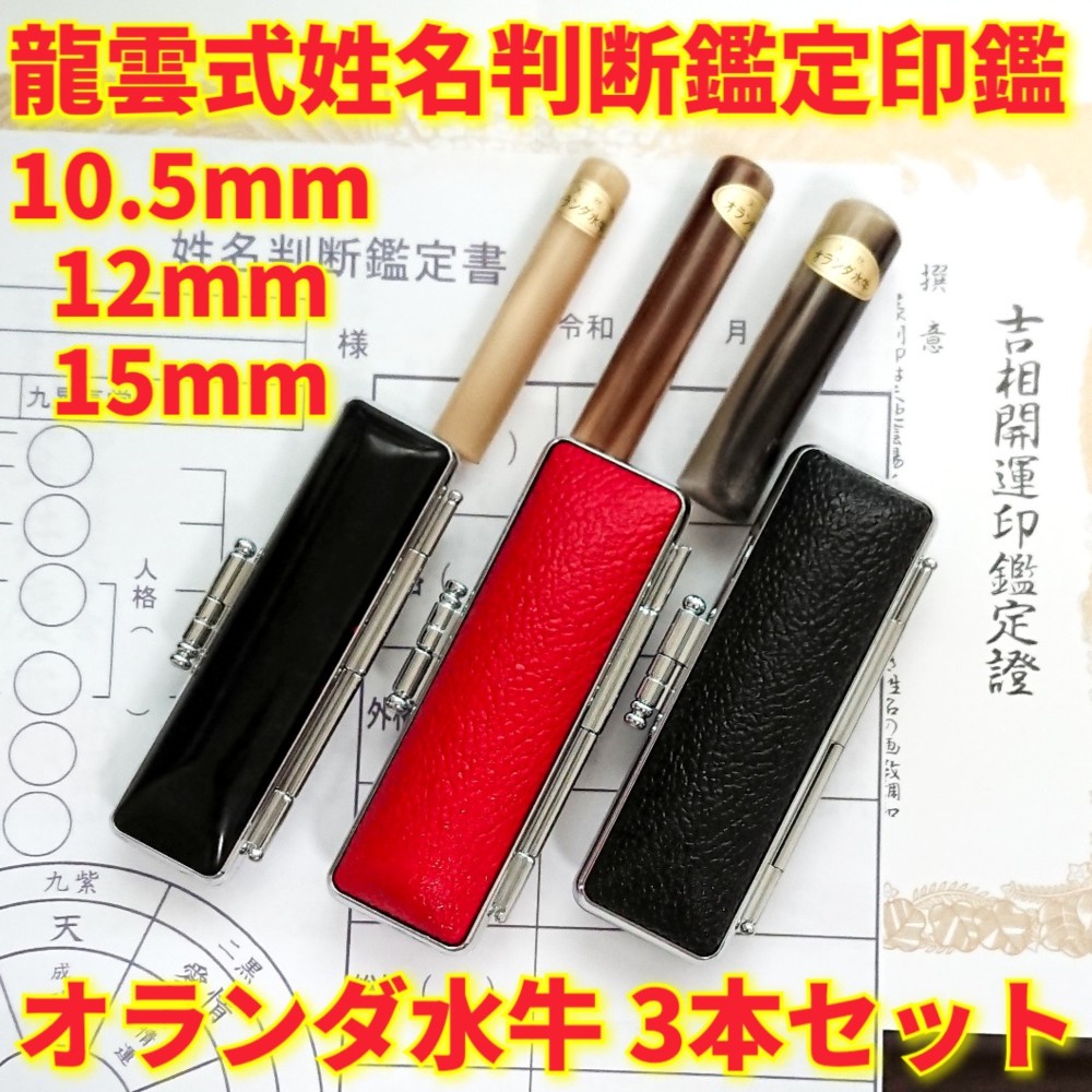 オーダー印鑑❤️龍雲式★姓名判断鑑定書付き＊オランダ水牛印鑑3本セット❗三宝印