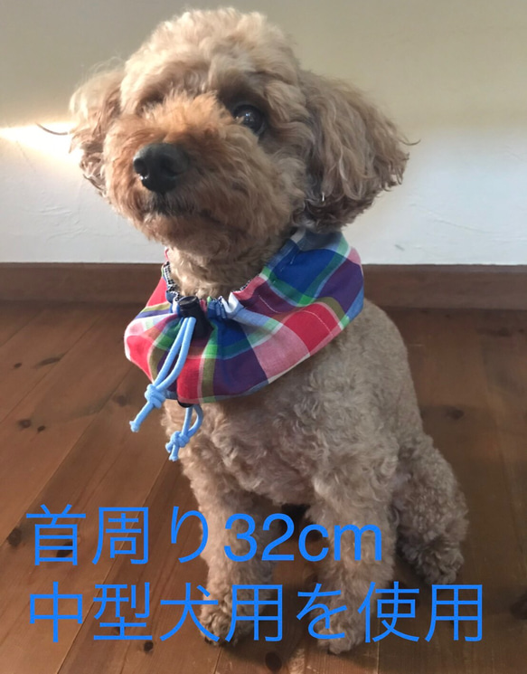 犬用ネックウォーマー、スヌード  YUWA花柄リップル生地 8枚目の画像