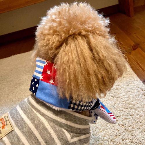 わんこスヌードつけ襟マフラーハンドメイド犬服