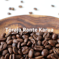 トラジャ ランテカルア スロトコ農園 コーヒー豆  200g 1枚目の画像