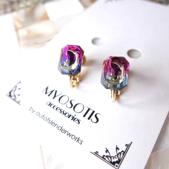 イヤリング
MYOSOTIS accessories
✵送料無料✵ 4枚目の画像