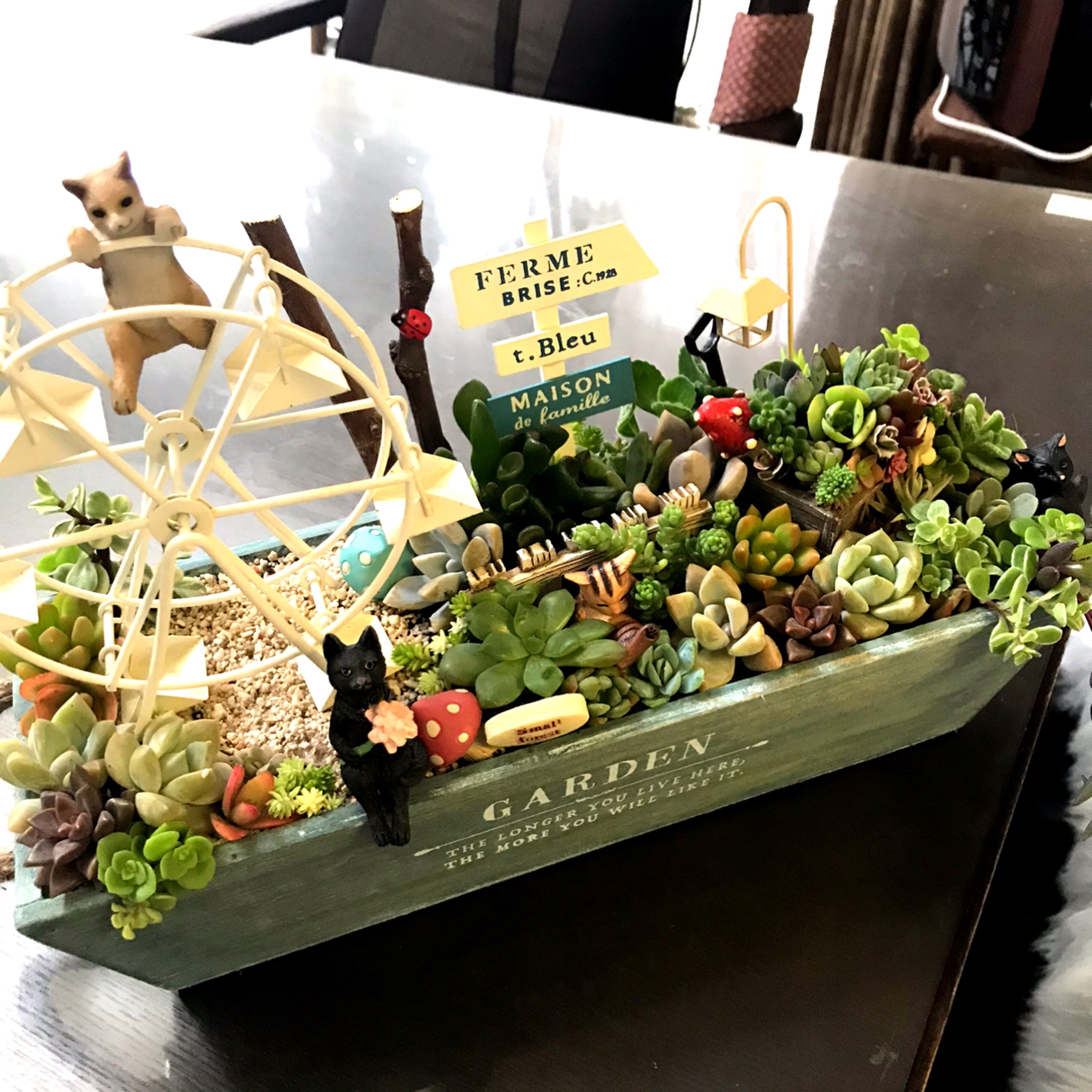 ⭐️多肉植物そのまま飾れる⭐️Xmas ⭐️train列車⭐️オーダーページ⭐️ ⭐️多肉植物そのまま飾れる⭐️Xmas ⭐️train列車⭐️オーダーページ