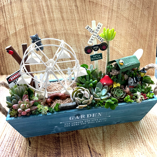 プレゼントにも〜受注制作 観覧車 箱庭風多肉植物寄せ植え 多肉植物