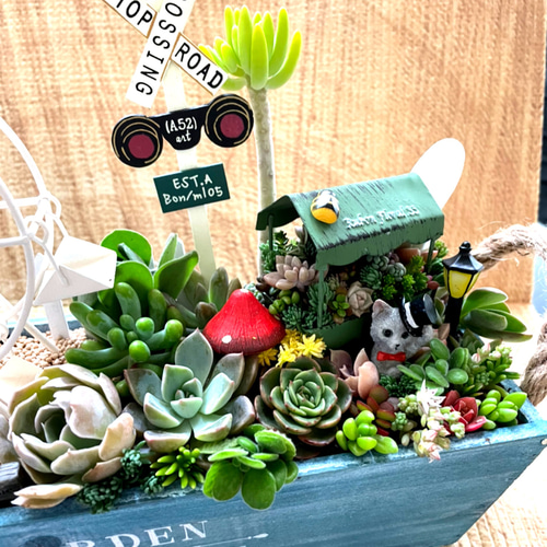プレゼントにも〜受注制作 観覧車 箱庭風多肉植物寄せ植え