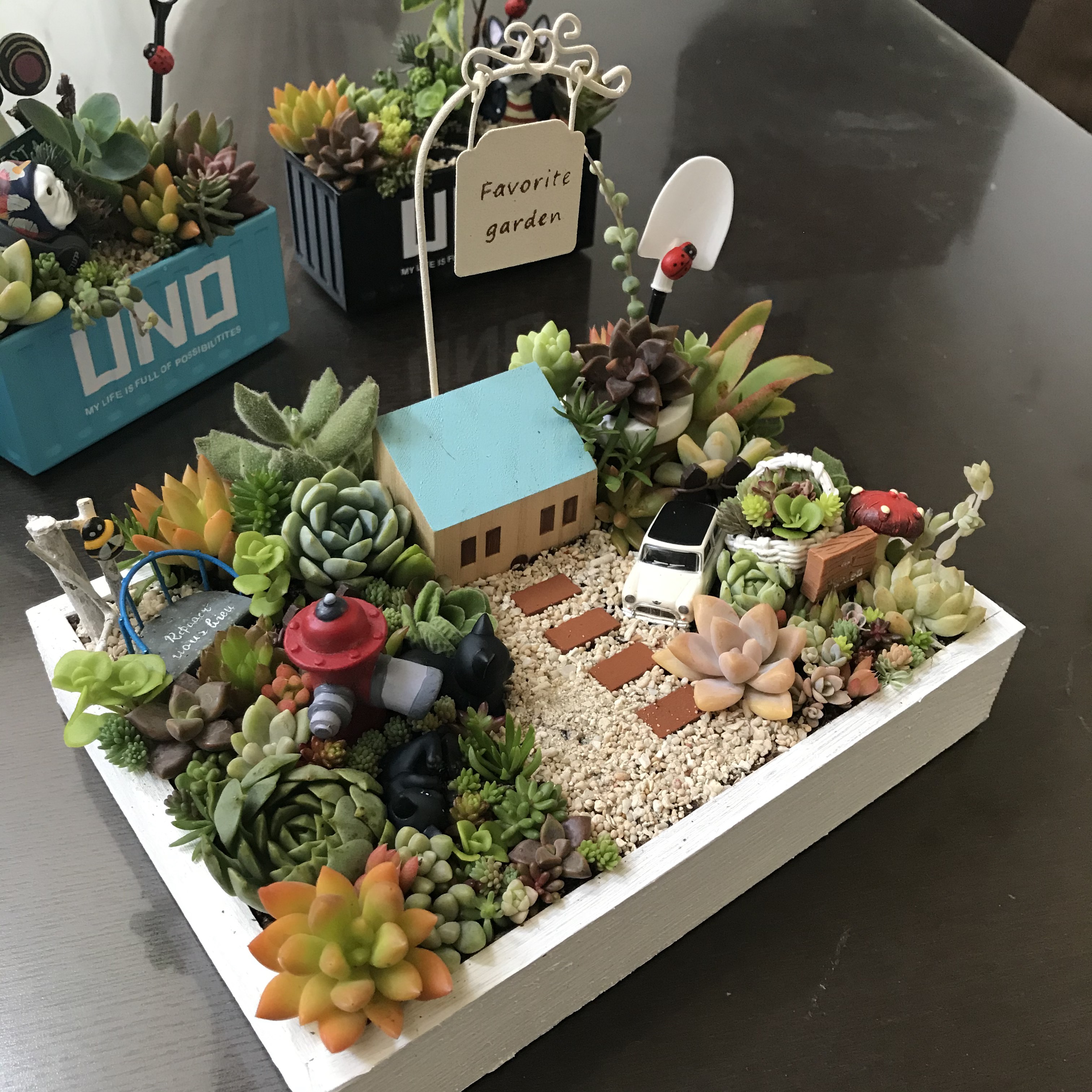 値下げしました♪♪★★箱庭風❤️★寄せ植え★このまま飾れます★多肉植物★★