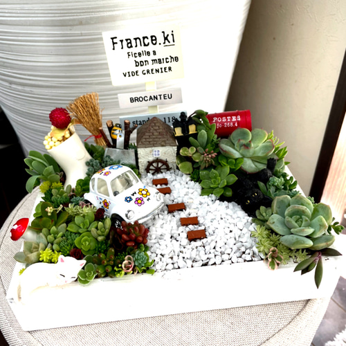 プレゼントにも〜受注制作 にゃんにゃん箱庭風多肉植物寄せ植え 多肉