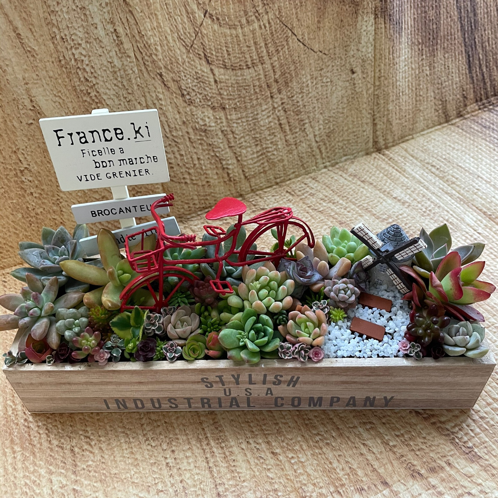 受注制作 自転車のあるお庭箱庭風多肉植物寄せ植え