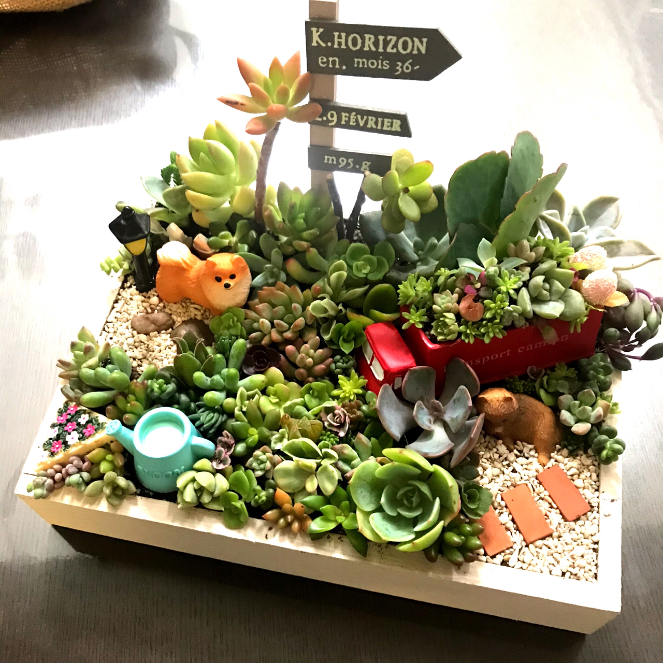 プレゼントにも〜受注制作わんちゃん箱庭風多肉植物寄せ植え
