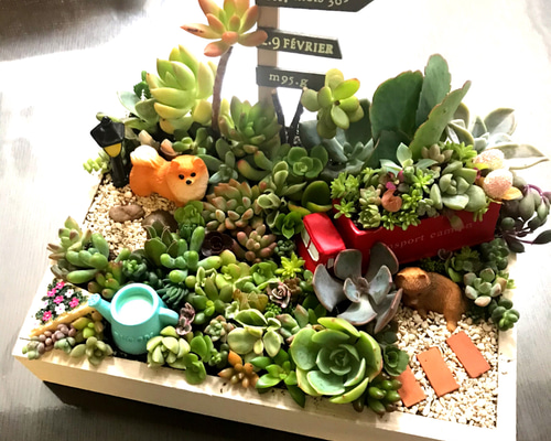 ☆のん様専用☆クリスマスが待ち遠しいペアクマちゃん☆多肉鉢☆ガーデン