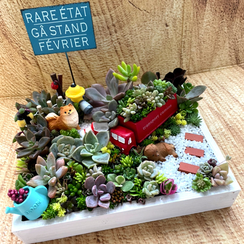 プレゼントにも〜受注制作わんちゃん箱庭風多肉植物寄せ植え 多肉植物