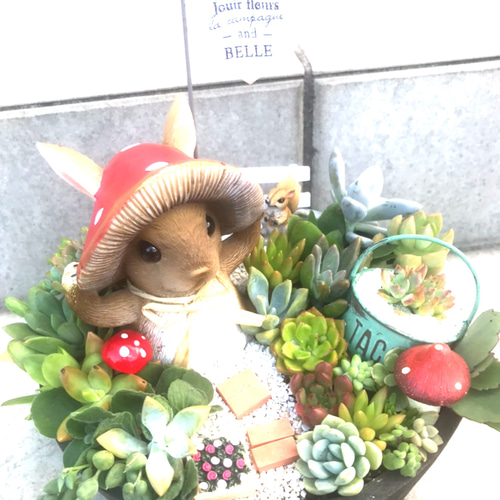 受注制作 きのこ帽子のうさぎさん箱庭風多肉植物寄せ植え 多肉植物