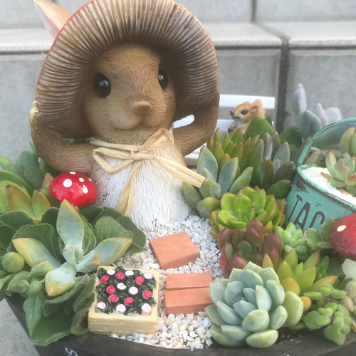 受注制作 きのこ帽子のうさぎさん箱庭風多肉植物寄せ植え 多肉植物