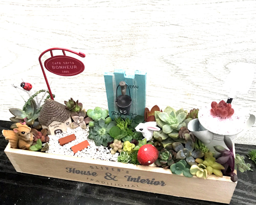 ★多肉植物　寄せ植え〜手作り木製HOUSE うさぎさんのお家寄せ〜★ プレゼントにも〜受注制作 うさぎ箱庭風多肉植物寄せ植え その他