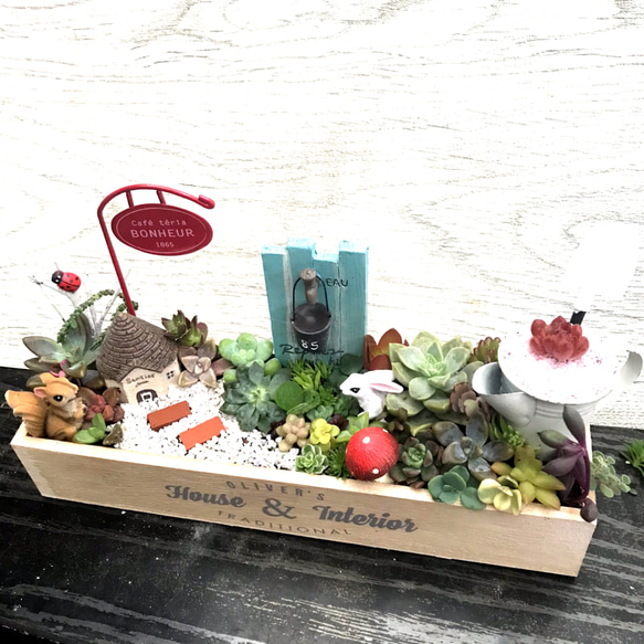 プレゼントにも〜受注制作 うさぎ箱庭風多肉植物寄せ植え その他
