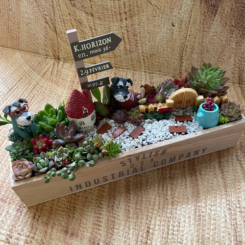 受注制作 ゲート箱庭風多肉植物寄せ植え その他インテリア雑貨 まぁ 