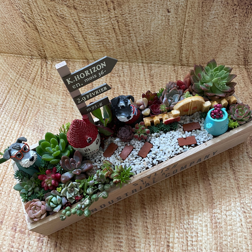 受注制作 ゲート箱庭風多肉植物寄せ植え その他インテリア雑貨 まぁ