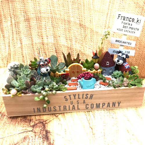 受注制作 ゲート箱庭風多肉植物寄せ植え その他インテリア雑貨 まぁ