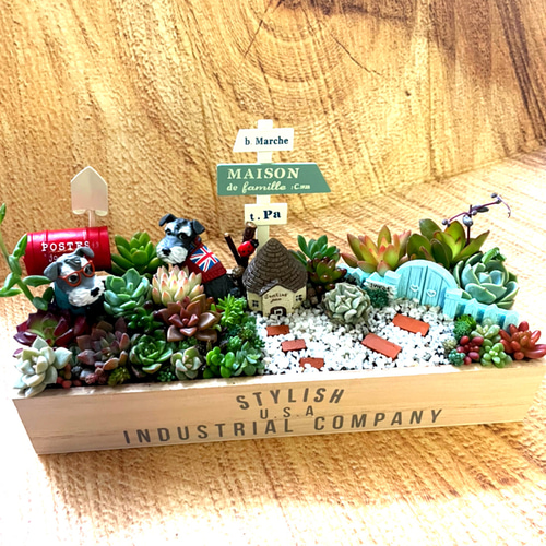 受注制作 ゲート箱庭風多肉植物寄せ植え その他インテリア雑貨 まぁ