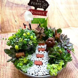 受注製作円形にゃんこorわんちゃんガーデン箱庭風多肉植物寄せ