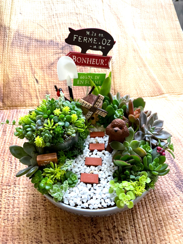多肉寄せ植え♬箱庭♬子豚 受注制作 円形わんちゃんにゃんこ箱庭風多肉植物寄せ植え 多肉植物