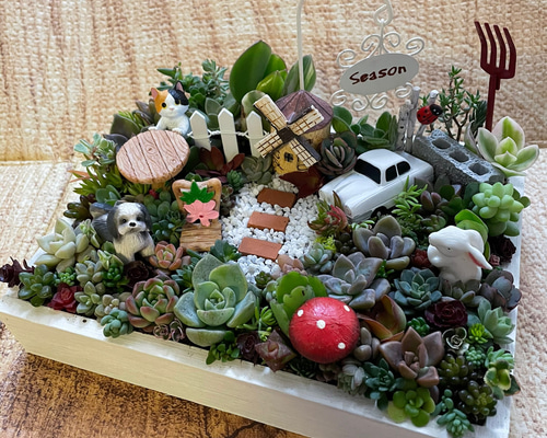 ☆のん様専用☆クリスマスが待ち遠しいペアクマちゃん☆多肉鉢