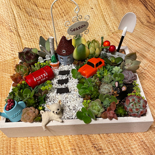 プレゼントにも〜受注制作 わんちゃんガーデン箱庭風多肉植物寄せ植え