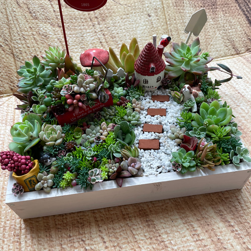 プレゼントにも〜受注制作 わんちゃんガーデン箱庭風多肉植物寄せ植え