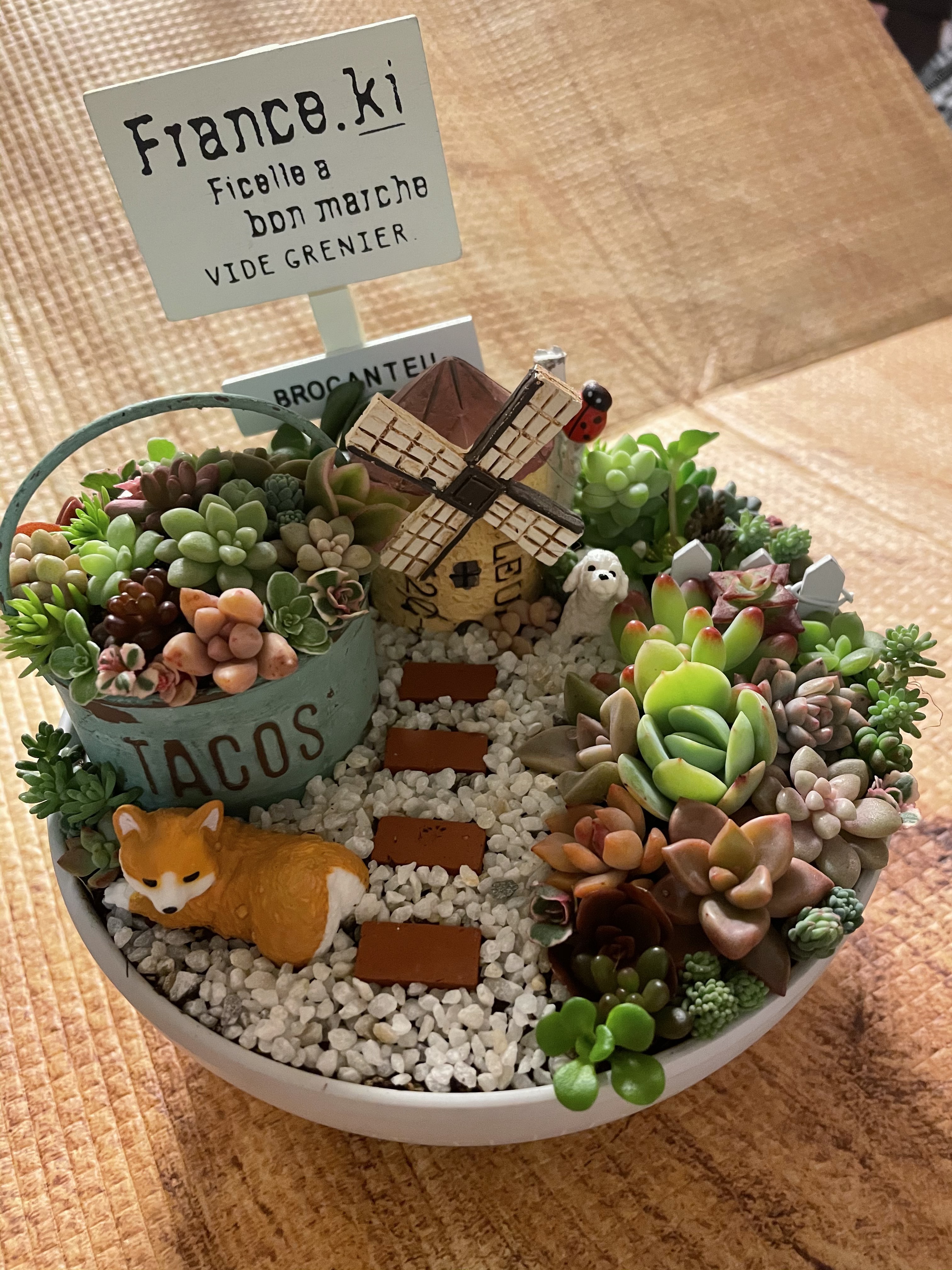 ★多肉植物　寄せ植え〜食いしん坊にゃんこのキッチン風寄せ〜★ ☆多肉植物 寄せ植え〜食いしん坊にゃんこのキッチン風寄せ〜☆