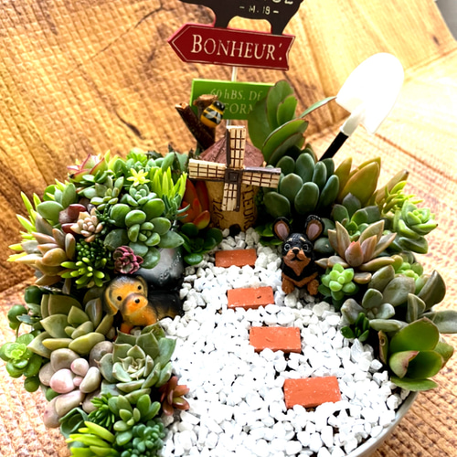 ❤️多肉植物❤️そのまま飾れる寄せ植え❤️スイカねこちゃん❤️ 受注制作 円形わんちゃんにゃんこ箱庭風多肉植物寄せ植え 多肉