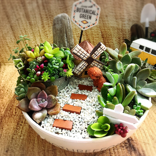 受注制作 円形わんちゃんにゃんこ箱庭風多肉植物寄せ植え 多肉植物