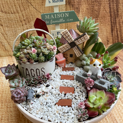 多肉寄せ植え♬箱庭♬子豚 多肉寄せ植え♬箱庭♬子豚