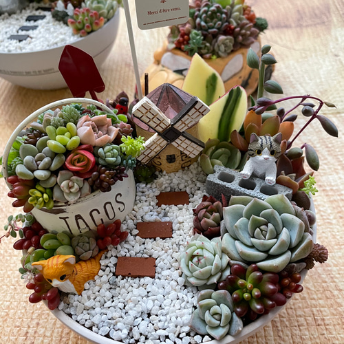 受注制作 円形わんちゃんにゃんこ箱庭風多肉植物寄せ植え 多肉植物