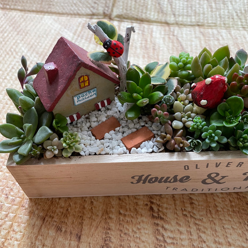 ☆多肉植物 寄せ植え〜手作り木製HOUSE うさぎさんのお家寄せ〜☆ ☆多肉植物 寄せ植え〜手作り木製HOUSE うさぎさんのお家寄せ〜☆