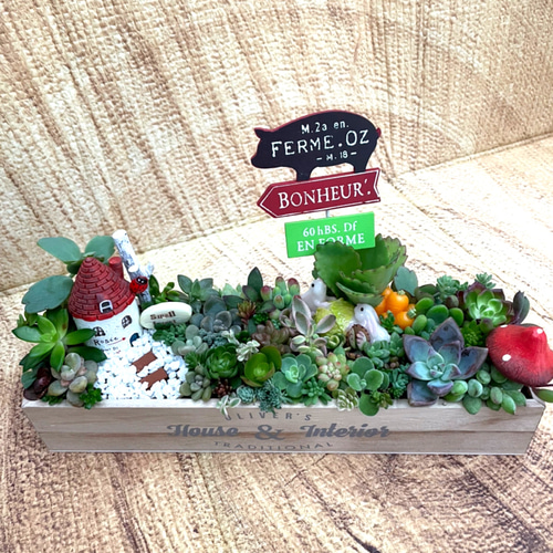 受注制作 うさぎさんガーデン箱庭風多肉植物寄せ植え 多肉植物