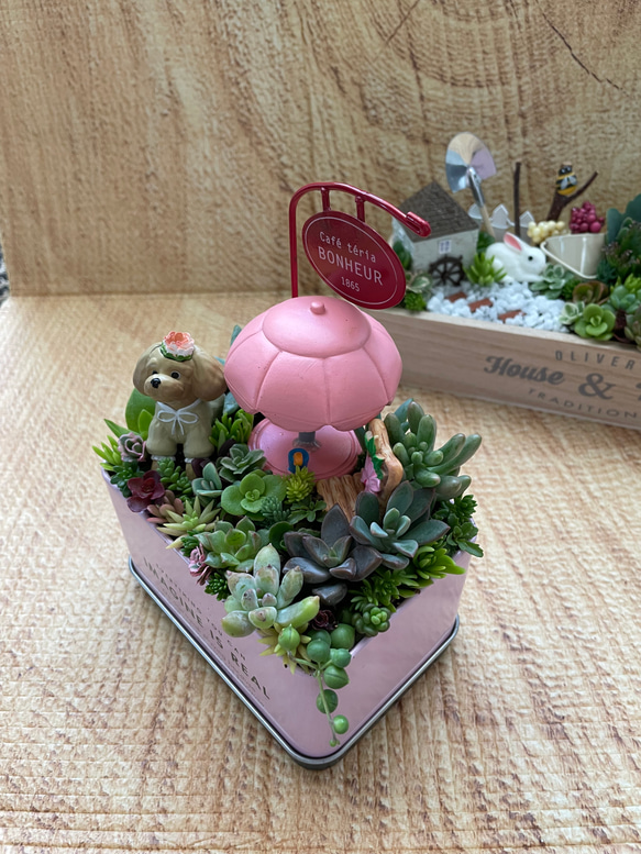 受注制作 トイプードル姫ちゃん箱庭風多肉植物寄せ植え 4枚目の画像