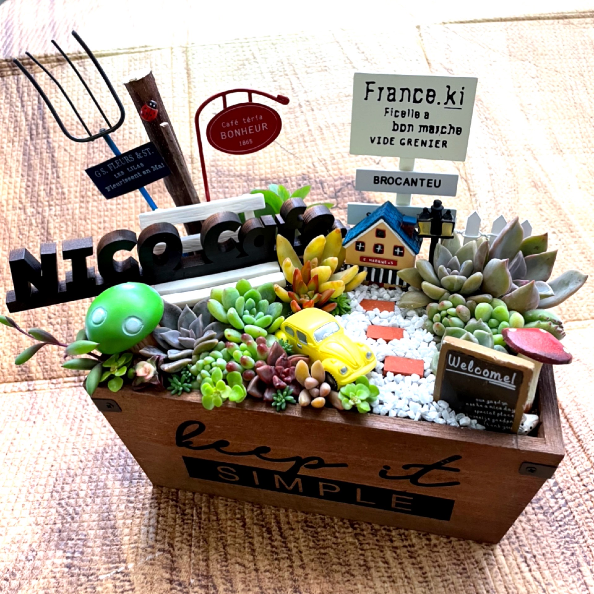 プレゼントにも〜受注制作 ロゴウッドプレート入箱庭風多肉植物寄せ植え