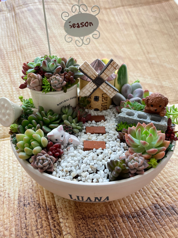 受注制作 わんちゃんガーデン箱庭風多肉植物寄せ植え〜 多肉植物