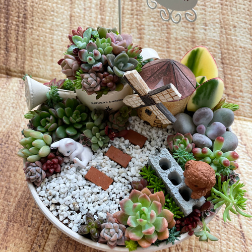 受注制作 わんちゃんガーデン箱庭風多肉植物寄せ植え〜 多肉植物