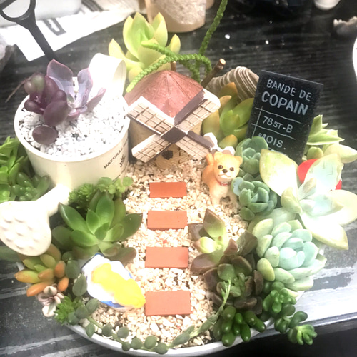受注制作 わんちゃんガーデン箱庭風多肉植物寄せ植え〜 多肉植物 まぁ
