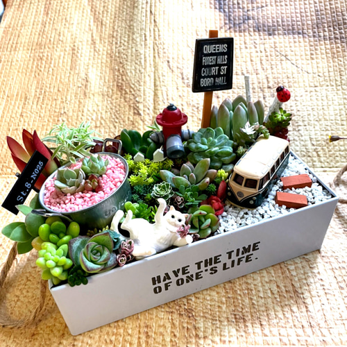 お得な全おまかせ受注制作 ブリキ缶ガーデン箱庭風〜多肉植物寄せ植え