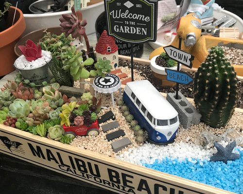 海辺の箱庭風多肉植物寄せ植え その他インテリア雑貨 まぁちゃん 通販