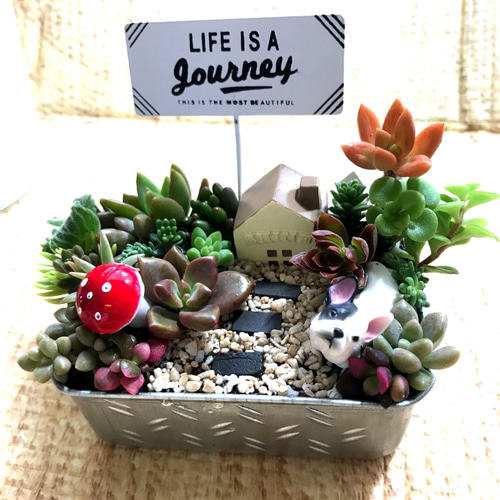 受注制作 ミニ箱庭風〜多肉植物寄せ植え その他インテリア雑貨 まぁ