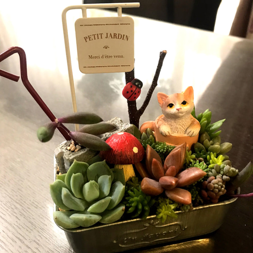 受注制作 ミニ箱庭風〜多肉植物寄せ植え その他インテリア雑貨 まぁ